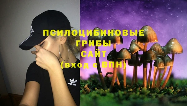 марки lsd Осташков