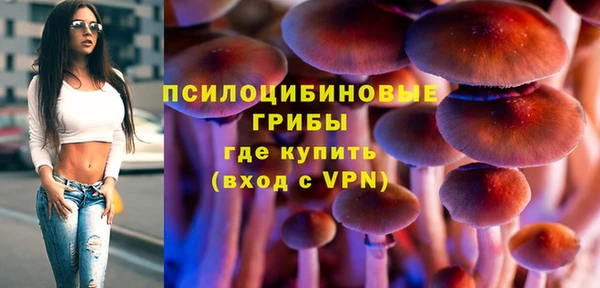 сатива Няндома